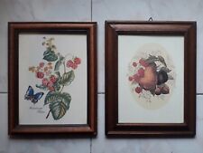 Quadro Stampe Antiche Botaniche"Rubus" Con Cornice 29x23 comprar usado  Enviando para Brazil