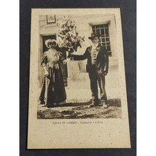 Cartolina valli lanzo usato  Alessandria