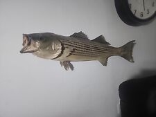Mounted striped bass for sale  Mira Loma