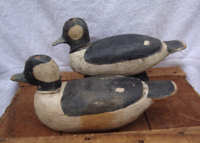 Awesome bufflehead pair for sale  Ocracoke