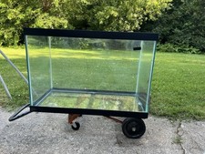 75 gallon fish aquarium for sale 75 gallon fish aquarium for sale Mchenry