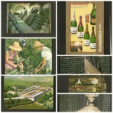 Lotto cartoline cavas usato  Firenze