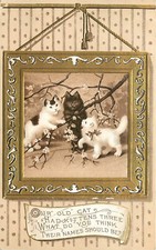 Embossed postcard portrait for sale  Redding