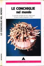 Conchiglie nel giorgio usato  Italia