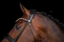 Trense vegas equine gebraucht kaufen  Kirn