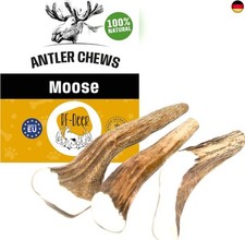 Deer elchgeweih geweihstück gebraucht kaufen  Berlin