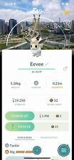 ✨Cartão de localização raro brilhante Eevee Explorer Hat São Paulo Background✨Pokémon Go comprar usado  Enviando para Brazil