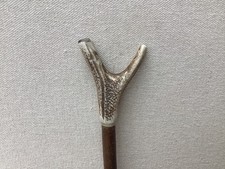 Red deer antler for sale  SALTBURN-BY-THE-SEA