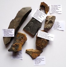 Collection seven british for sale  TELFORD
