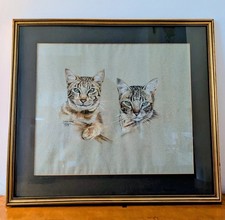 bengal cat for sale  ELY