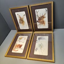 Vintage nature wildlife for sale  NELSON