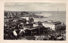 Australia coogee bird d'occasion  France