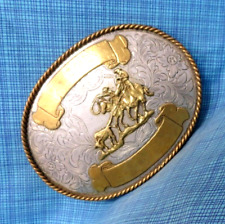 Team roping jeffco for sale  Torrington