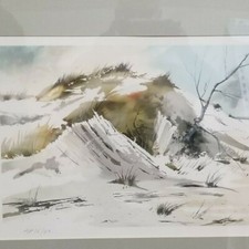 Donald voorhees artist for sale  Kansas City