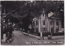 Marina pietrasanta fiumetto usato  Isola Vicentina