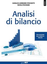 Analisi bilancio con usato  Sesto San Giovanni