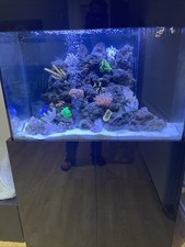 Marine aquarium for sale  BOREHAMWOOD