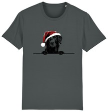 Flatcoated retriever christmas for sale  PONTYPRIDD