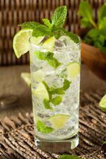 Mojito mint plant for sale  Republic