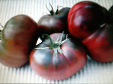 Pomodoro tula tomato usato  Tivoli