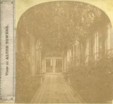 Stereoview view alton for sale  UK
