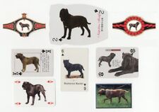 Neapolitan mastiff collection for sale  COLEFORD