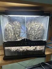 Exo terra 30x30x30cm for sale  CAMBRIDGE