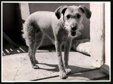 Fotografie röhnert berlin gebraucht kaufen  Berlin