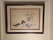 Golden retriever large for sale  Carmel
