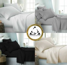 100 egyptian cotton for sale  BURY