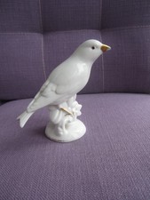 Neutettau porzellan vogel gebraucht kaufen Neutettau porzellan vogel gebraucht kaufen  Zetel