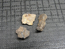 Nwa 12350 meteorite for sale  Hebron