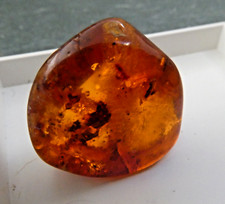 Baltic amber sample for sale  NORWICH