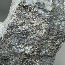 Large rich calaverite for sale  Denver