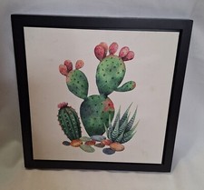 Cactus succulent small for sale  Vancouver