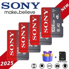 Scheda sony memoria usato  Civita Castellana