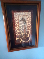 Safari print matted for sale  Saint Augustine