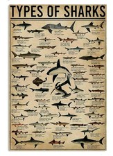 Shark metal wall for sale  LANCASTER