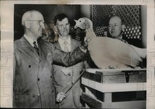 1950 press photo for sale  Memphis