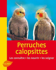 Perruches calopsittes kurt d'occasion  Hennebont