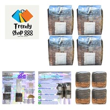 Home mushroom cultivation for sale  Katy