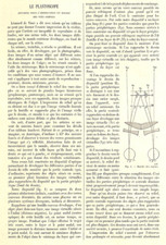 Plastoscope colonie abeilles d'occasion  Les Bordes