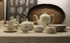 Rosenthal elfenbein else gebraucht kaufen  Pfaffenhofen a.d.Ilm