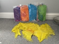 large ostrich feathers for sale  ILKESTON