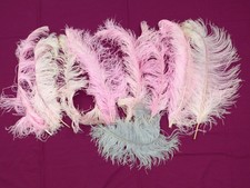 Ostrich plumes 9 for sale  SHERINGHAM