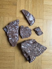 Panzerfisch fossil ukraine gebraucht kaufen  Mainz