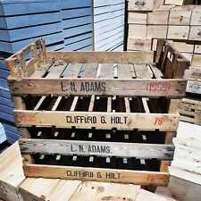 Chitting vegetable trays for sale  LISS