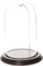 Relógio/ornamento Plymor 4" x 7" cúpula de vidro cloche base folheada madeira preta comprar usado  Enviando para Brazil