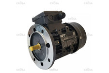 Motore elettrico trifase usato  Alba