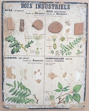 Rare ancienne affiche d'occasion  Lyon VII